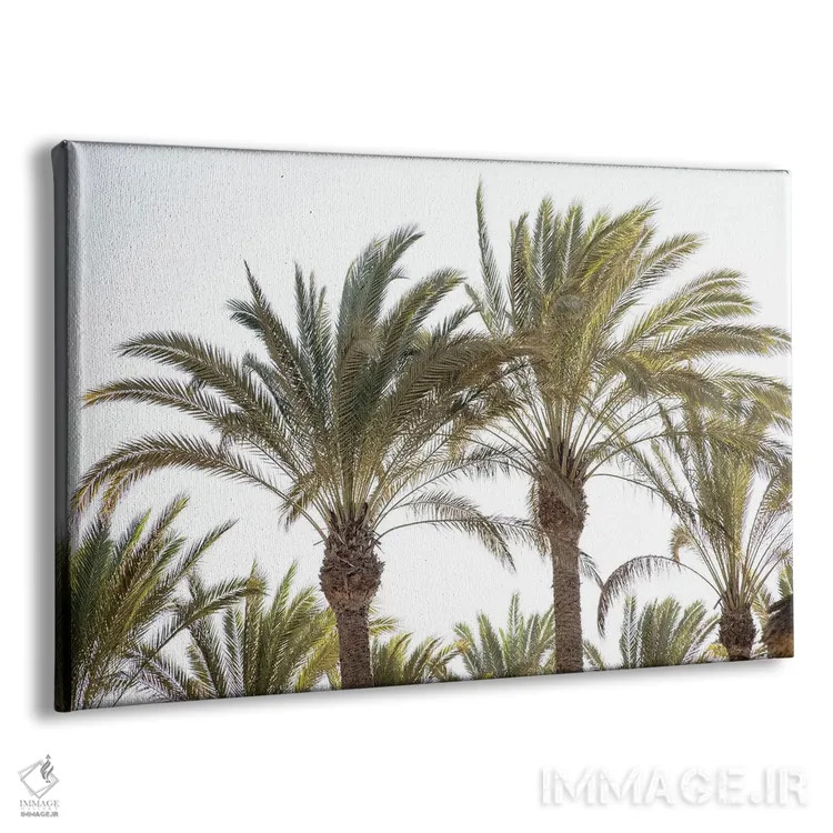 تابلو نخلهای شرقی اثر هنر آنیتا و بلا - نمای پرسپکتیو محصول