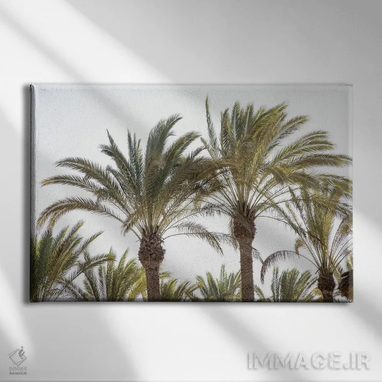 تابلو نخلهای شرقی اثر هنر آنیتا و بلا - نمای روبهرو روی دیوار