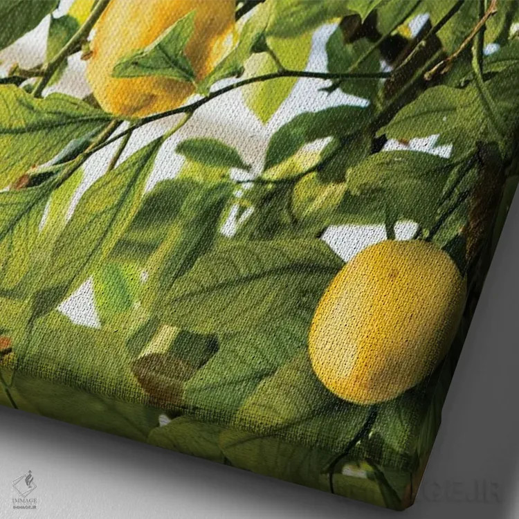 تابلو رویای لیموی آمالفی دو اثر هنر آنیتا و بلا - نمای نزدیک بافت بوم