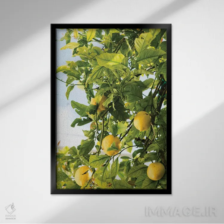 تابلو رویای لیموی آمالفی دو اثر هنر آنیتا و بلا - نمای قابدار مشکی