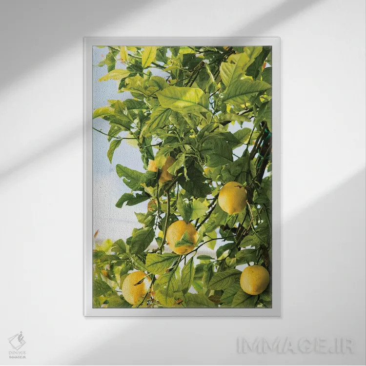تابلو رویای لیموی آمالفی دو اثر هنر آنیتا و بلا - نمای قابدار سفید