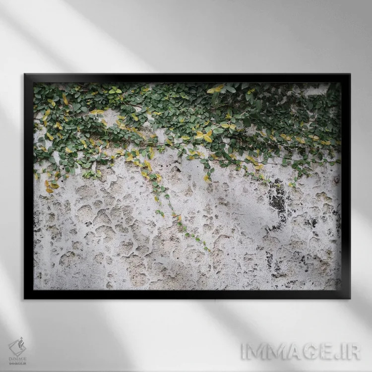 تابلو دیوار برگدار روستایی پوزیتانو یک اثر هنر آنیتا و بلا - نمای قابدار مشکی