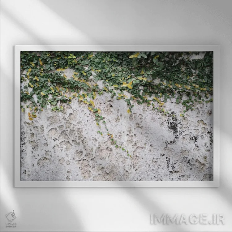 تابلو دیوار برگدار روستایی پوزیتانو یک اثر هنر آنیتا و بلا - نمای قابدار سفید