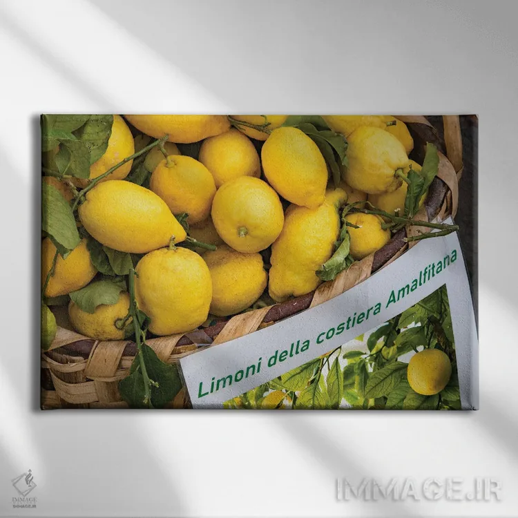 تابلو رویای لیموی آمالفی سه اثر هنر آنیتا و بلا - نمای روبهرو روی دیوار