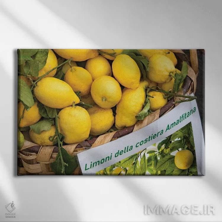 تابلو رویای لیموی آمالفی سه اثر هنر آنیتا و بلا - نمای روبهرو روی دیوار