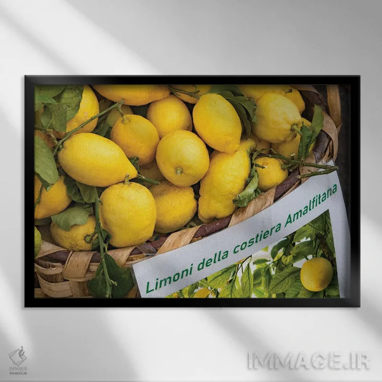 تابلو رویای لیموی آمالفی سه اثر هنر آنیتا و بلا - نمای قابدار مشکی