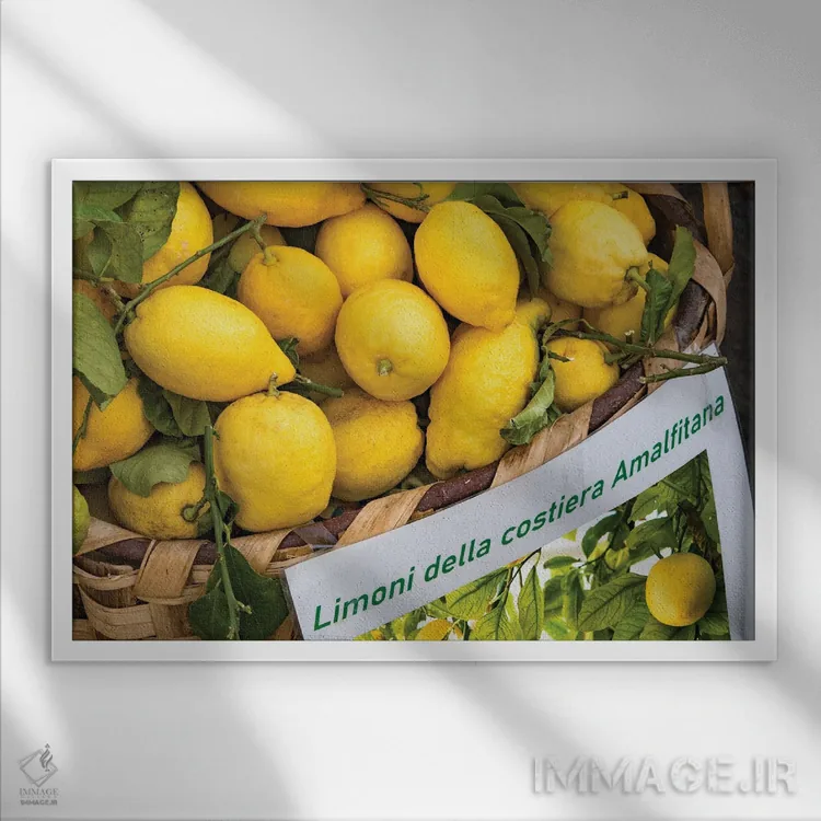تابلو رویای لیموی آمالفی سه اثر هنر آنیتا و بلا - نمای قابدار سفید