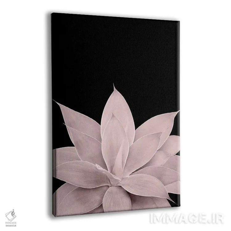 تابلو آگاو صورتی ملایم روی زمینهٔ مشکی یک اثر هنر آنیتا و بلا - نمای پرسپکتیو محصول