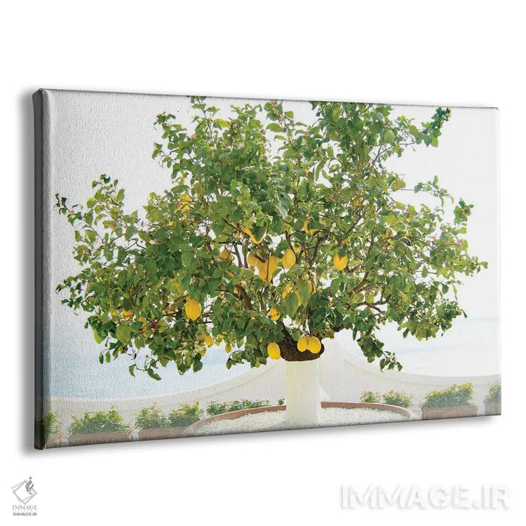 تابلو درخت لیمو در پوزیتانو یک اثر هنر آنیتا و بلا - نمای پرسپکتیو محصول
