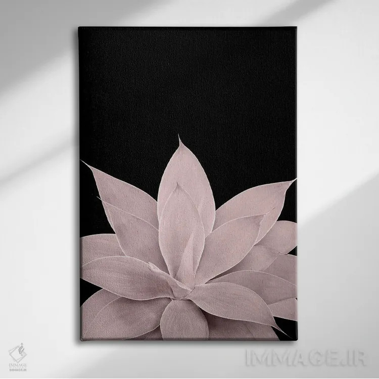 تابلو آگاو صورتی ملایم روی زمینهٔ مشکی یک اثر هنر آنیتا و بلا - نمای روبهرو روی دیوار