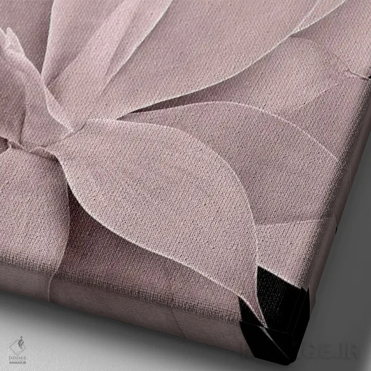 تابلو آگاو صورتی ملایم روی زمینهٔ مشکی یک اثر هنر آنیتا و بلا - نمای نزدیک بافت بوم