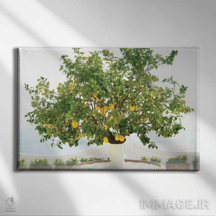 تابلو درخت لیمو در پوزیتانو یک اثر هنر آنیتا و بلا - نمای روبهرو روی دیوار