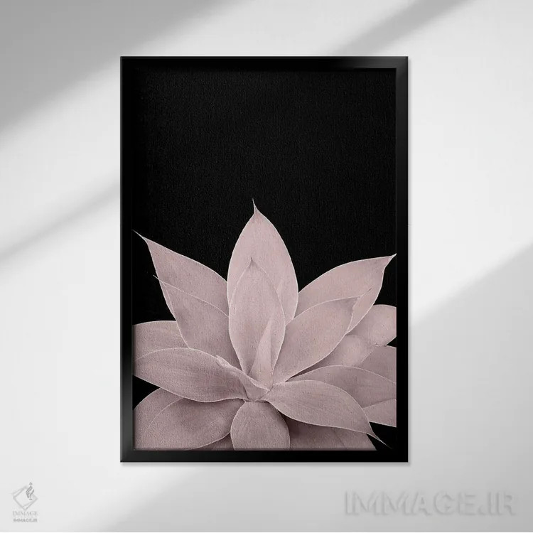 تابلو آگاو صورتی ملایم روی زمینهٔ مشکی یک اثر هنر آنیتا و بلا - نمای قابدار مشکی