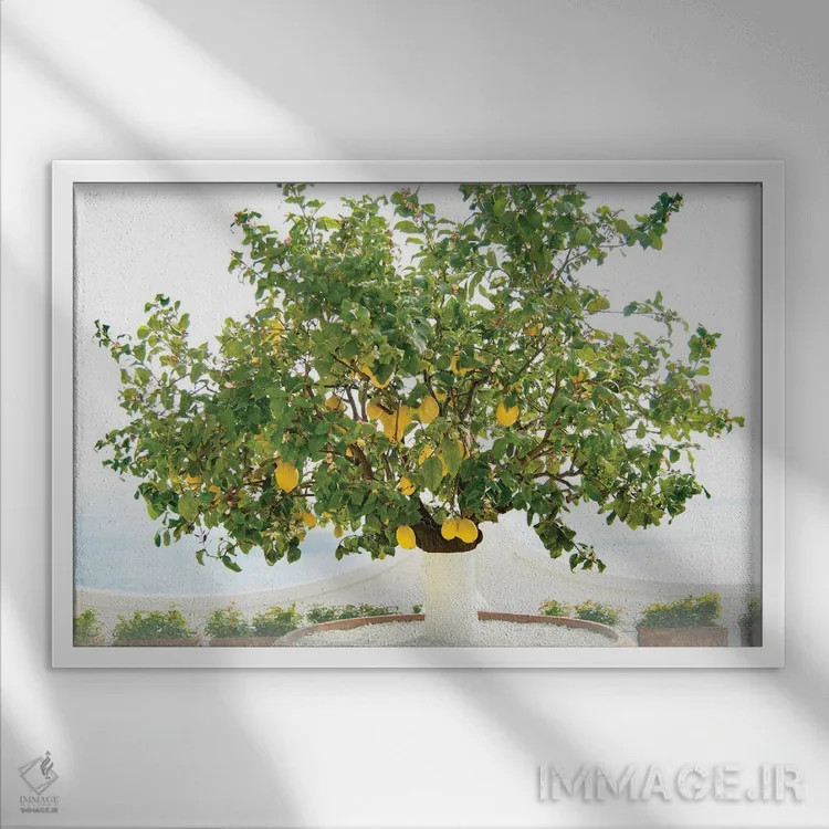 تابلو درخت لیمو در پوزیتانو یک اثر هنر آنیتا و بلا - نمای قابدار سفید