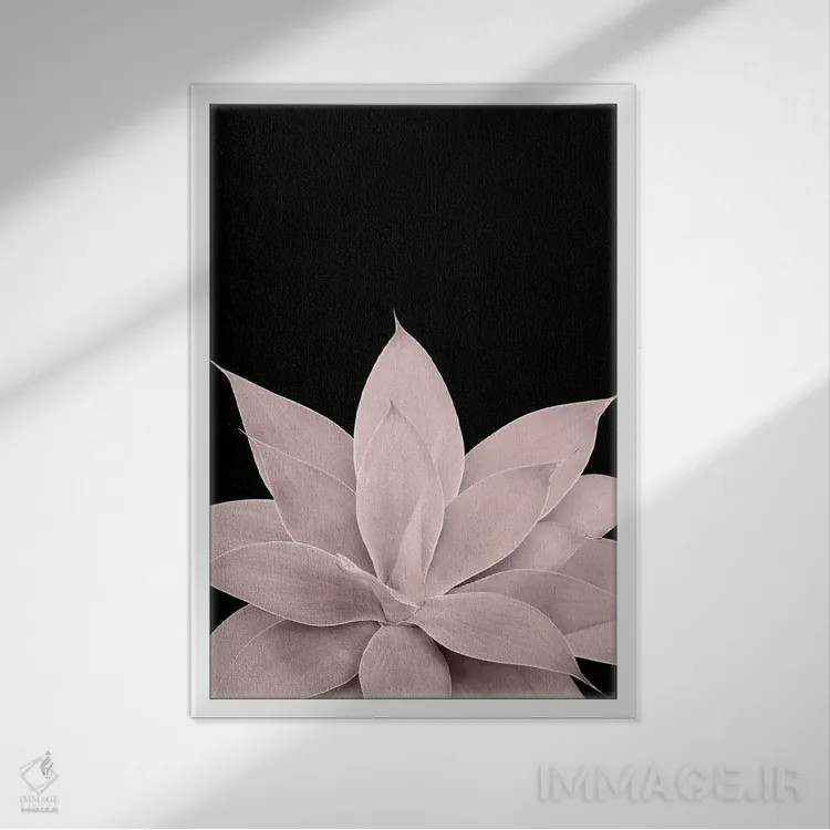 تابلو آگاو صورتی ملایم روی زمینهٔ مشکی یک اثر هنر آنیتا و بلا - نمای قابدار سفید