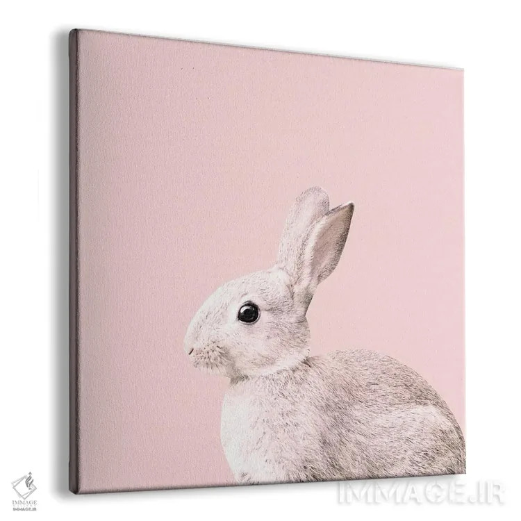 تابلو خرگوش کوچولوی صورتی ملایم یک اثر هنر آنیتا و بلا - نمای پرسپکتیو محصول