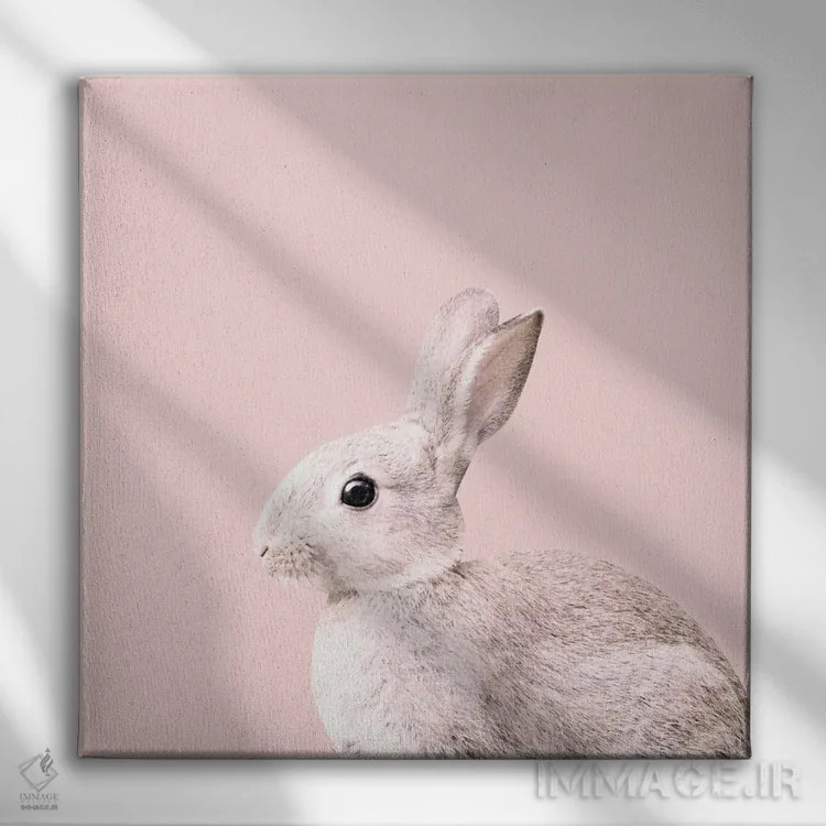 تابلو خرگوش کوچولوی صورتی ملایم یک اثر هنر آنیتا و بلا - نمای روبهرو روی دیوار