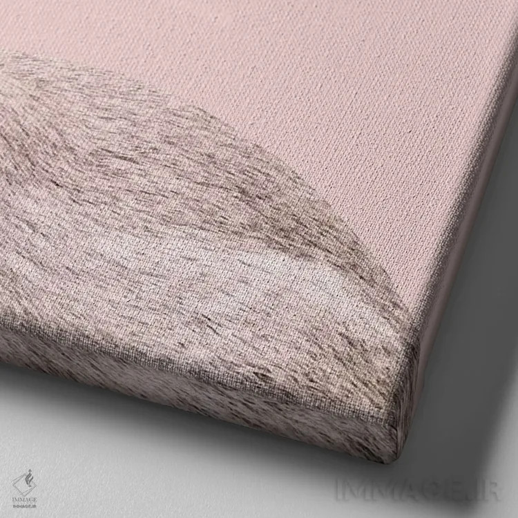 تابلو خرگوش کوچولوی صورتی ملایم یک اثر هنر آنیتا و بلا - نمای نزدیک بافت بوم