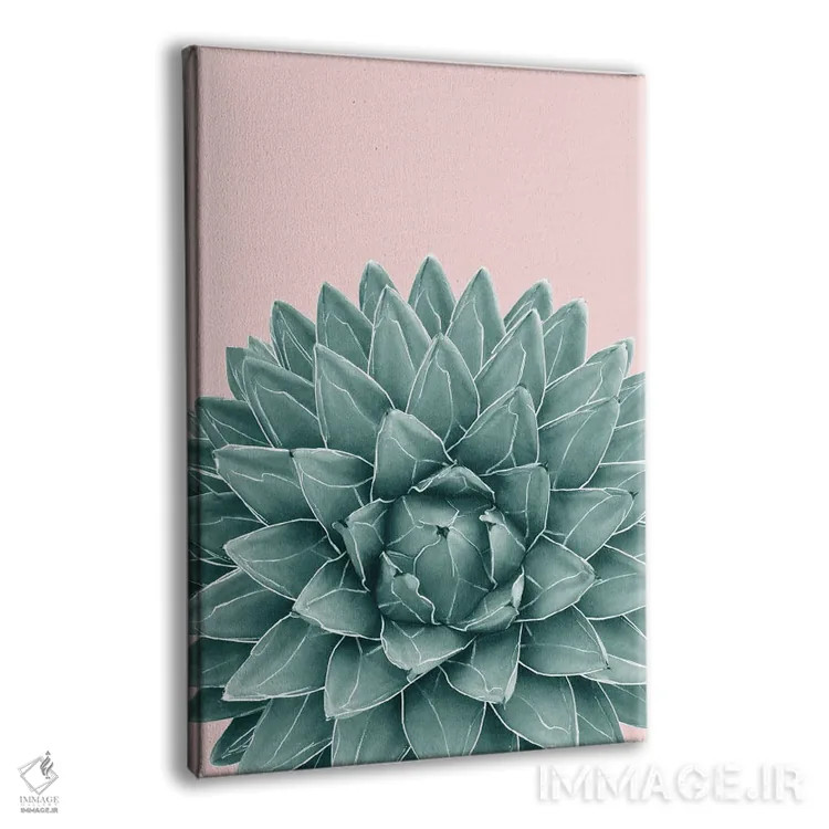 تابلو آگاو سبز صورتی شیک یک اثر هنر آنیتا و بلا - نمای پرسپکتیو محصول
