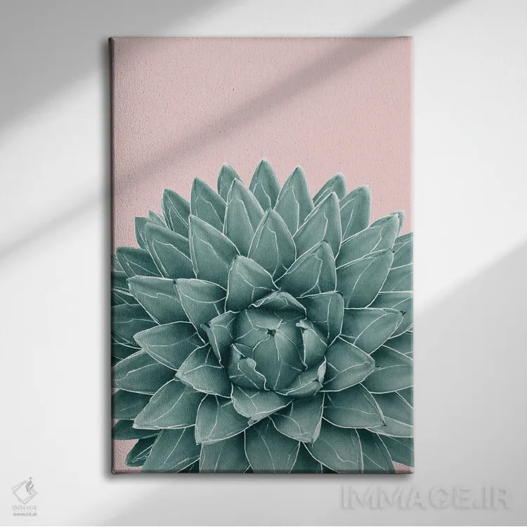 تابلو آگاو سبز صورتی شیک یک اثر هنر آنیتا و بلا - نمای روبهرو روی دیوار