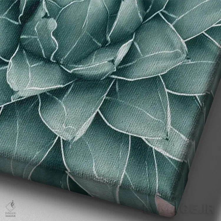 تابلو آگاو سبز صورتی شیک یک اثر هنر آنیتا و بلا - نمای نزدیک بافت بوم