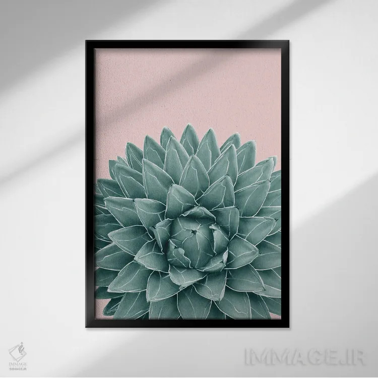 تابلو آگاو سبز صورتی شیک یک اثر هنر آنیتا و بلا - نمای قابدار مشکی