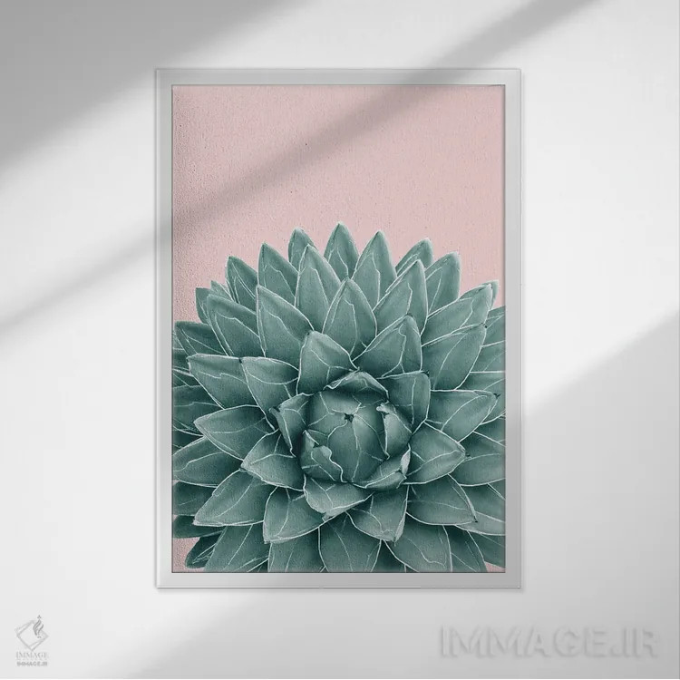 تابلو آگاو سبز صورتی شیک یک اثر هنر آنیتا و بلا - نمای قابدار سفید