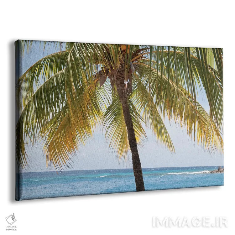 تابلو حالوهوای ساحل درخت نخل کارائیب یک اثر هنر آنیتا و بلا - نمای پرسپکتیو محصول