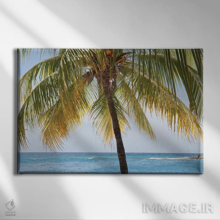 تابلو حالوهوای ساحل درخت نخل کارائیب یک اثر هنر آنیتا و بلا - نمای روبهرو روی دیوار