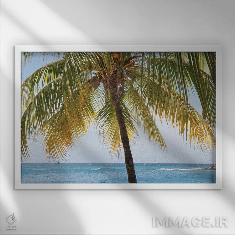 تابلو حالوهوای ساحل درخت نخل کارائیب یک اثر هنر آنیتا و بلا - نمای قابدار سفید