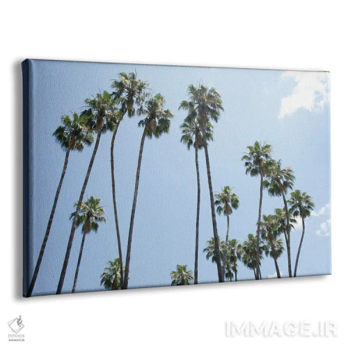 تابلو زیر درختان نخل سوم اثر هنر آنیتا و بلا - نمای پرسپکتیو محصول