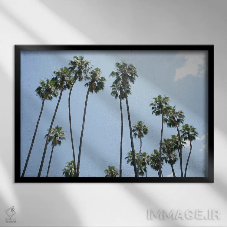 تابلو زیر درختان نخل سوم اثر هنر آنیتا و بلا - نمای قابدار مشکی