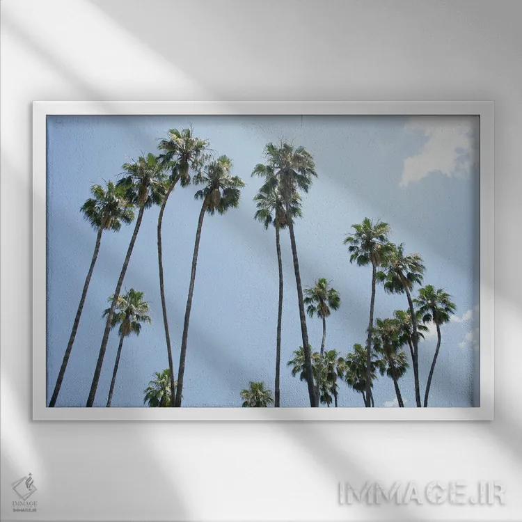 تابلو زیر درختان نخل سوم اثر هنر آنیتا و بلا - نمای قابدار سفید