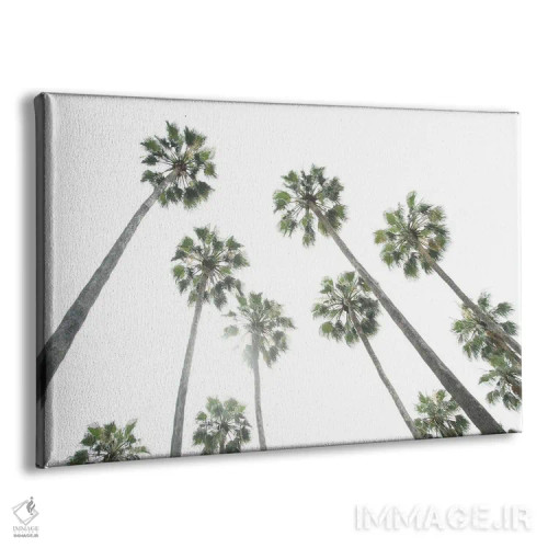 تابلو زیر درختان نخل دوم اثر هنر آنیتا و بلا - نمای پرسپکتیو محصول