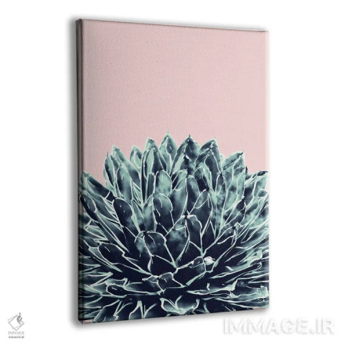 تابلو آگاو سرمهای صورتی شیک یک اثر هنر آنیتا و بلا - نمای پرسپکتیو محصول