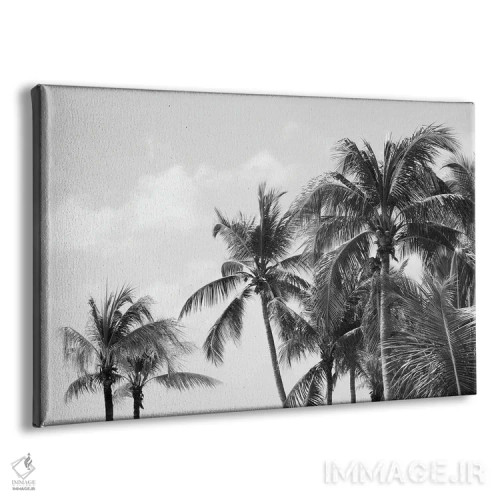 تابلو حال و هوای سواحل نخلهای کاریبی چهارم اثر هنر آنیتا و بلا - نمای پرسپکتیو محصول