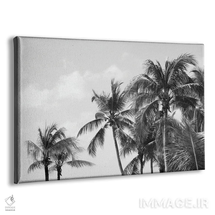 تابلو حال و هوای سواحل نخلهای کاریبی چهارم اثر هنر آنیتا و بلا - نمای پرسپکتیو محصول