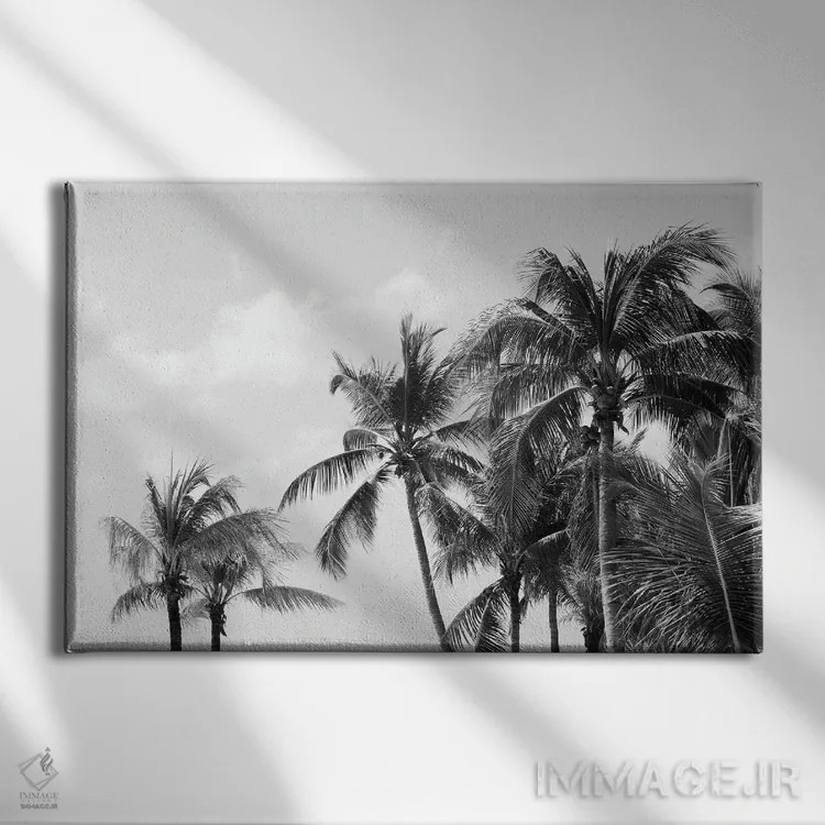 تابلو حال و هوای سواحل نخلهای کاریبی چهارم اثر هنر آنیتا و بلا - نمای روبهرو روی دیوار