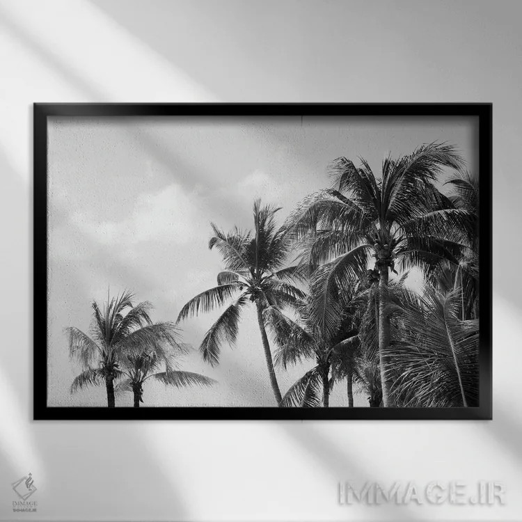 تابلو حال و هوای سواحل نخلهای کاریبی چهارم اثر هنر آنیتا و بلا - نمای قابدار مشکی