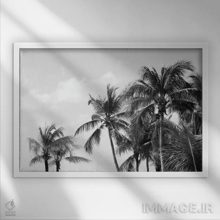 تابلو حال و هوای سواحل نخلهای کاریبی چهارم اثر هنر آنیتا و بلا - نمای قابدار سفید