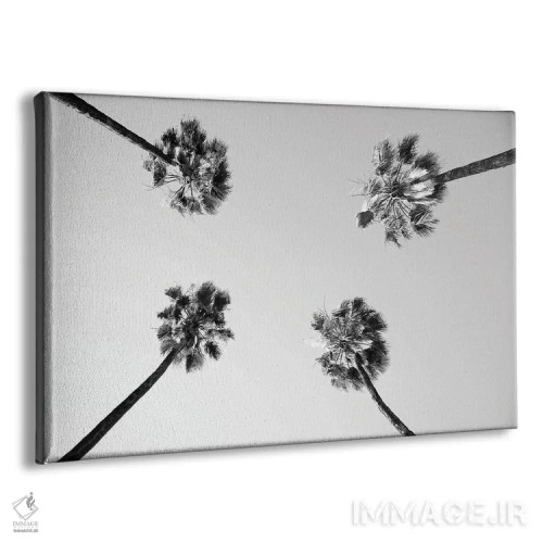 تابلو زیر نخلها چهارم اثر هنر آنیتا و بلا - نمای پرسپکتیو محصول