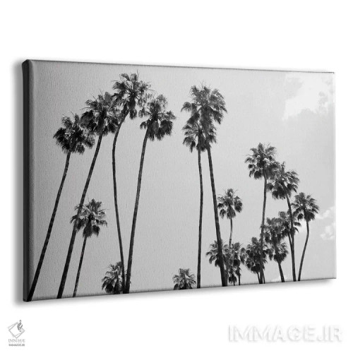 تابلو زیر نخلها پنجم اثر هنر آنیتا و بلا - نمای پرسپکتیو محصول