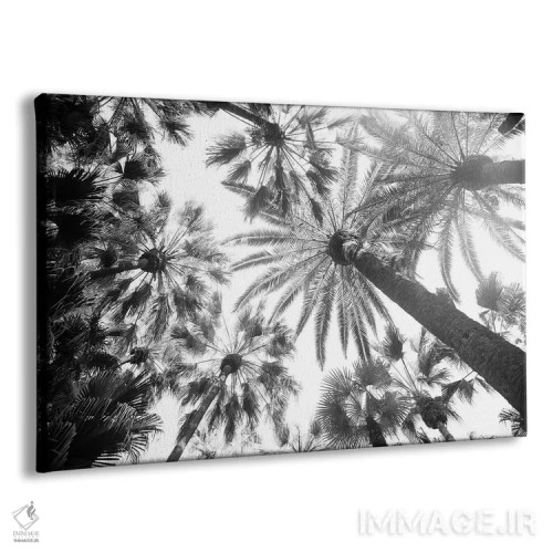 تابلو زیر نخلها هشتم اثر هنر آنیتا و بلا - نمای پرسپکتیو محصول