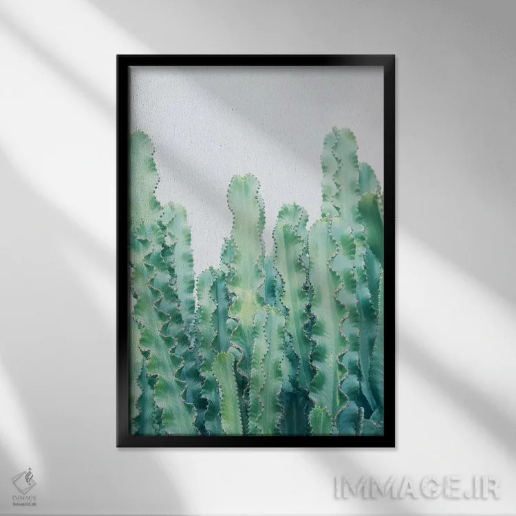 تابلو رویای کاکتوسها دوم اثر هنر آنیتا و بلا - نمای قابدار مشکی