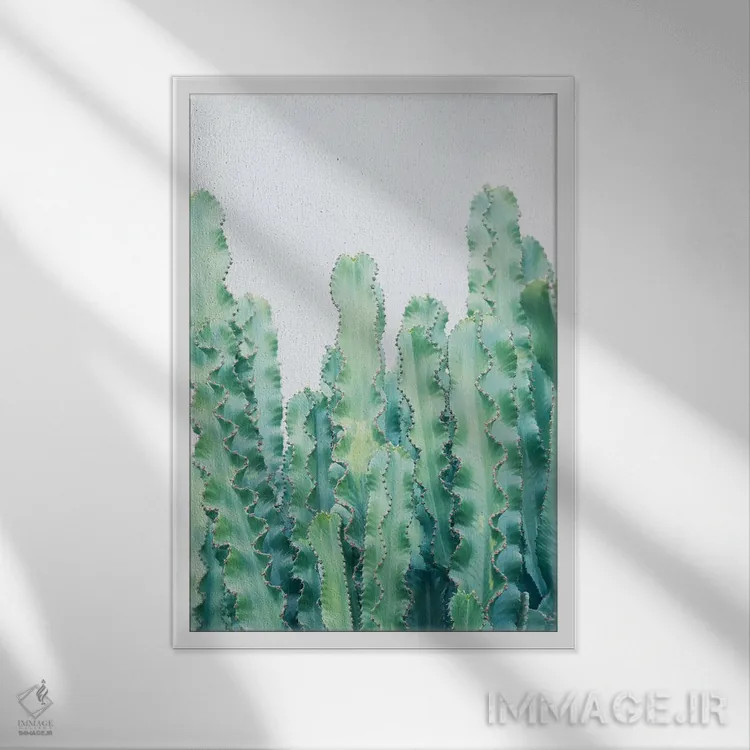 تابلو رویای کاکتوسها دوم اثر هنر آنیتا و بلا - نمای قابدار سفید