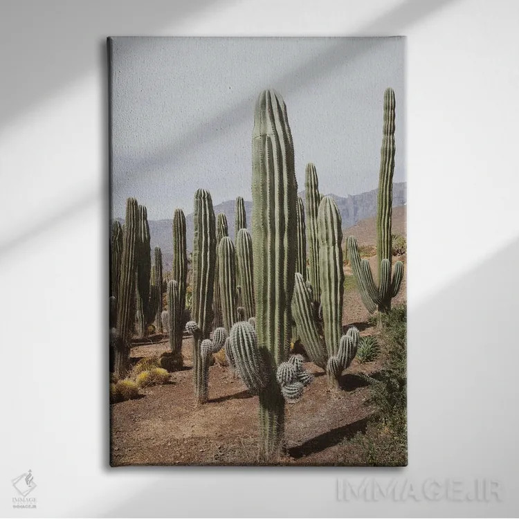 تابلو واحه کاکتوس یکم اثر هنر آنیتا و بلا - نمای روبهرو روی دیوار