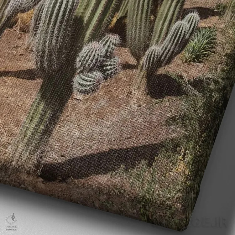 تابلو واحه کاکتوس یکم اثر هنر آنیتا و بلا - نمای نزدیک بافت بوم