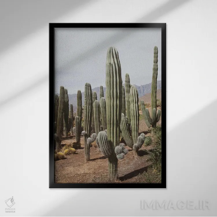 تابلو واحه کاکتوس یکم اثر هنر آنیتا و بلا - نمای قابدار مشکی