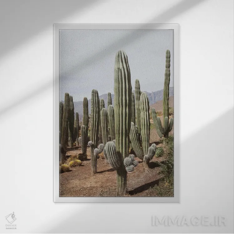 تابلو واحه کاکتوس یکم اثر هنر آنیتا و بلا - نمای قابدار سفید