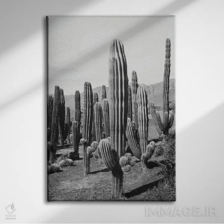 تابلو واحه کاکتوس دوم اثر هنر آنیتا و بلا - نمای روبهرو روی دیوار